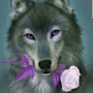 Meet your Posher, Joyce